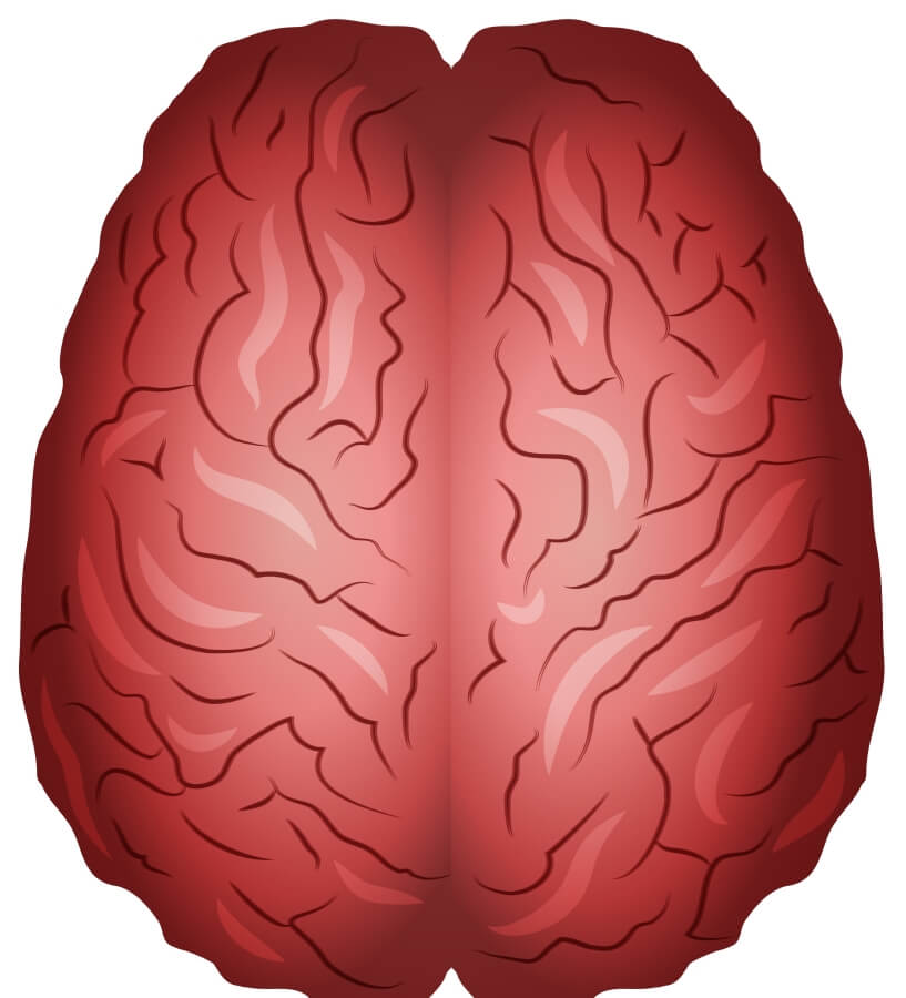 MentalWellness - Maximus U