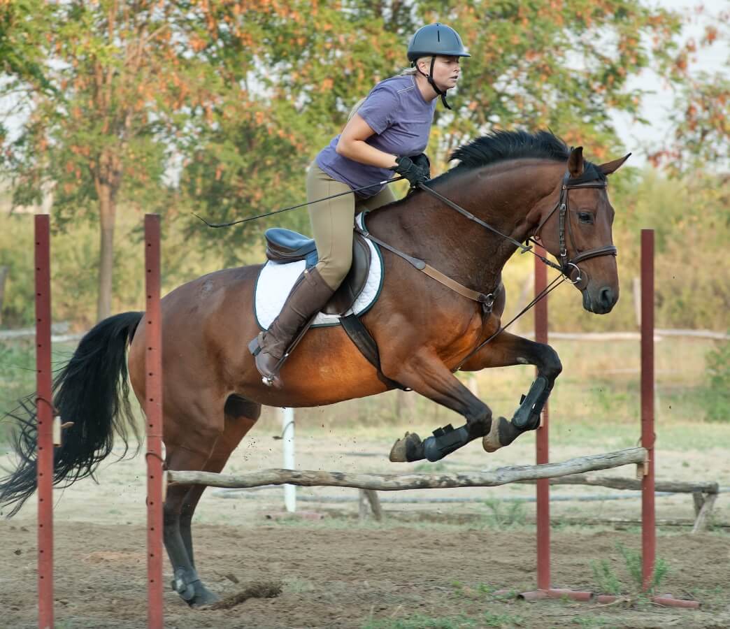 When Faced with an Obstacle, What do you do?