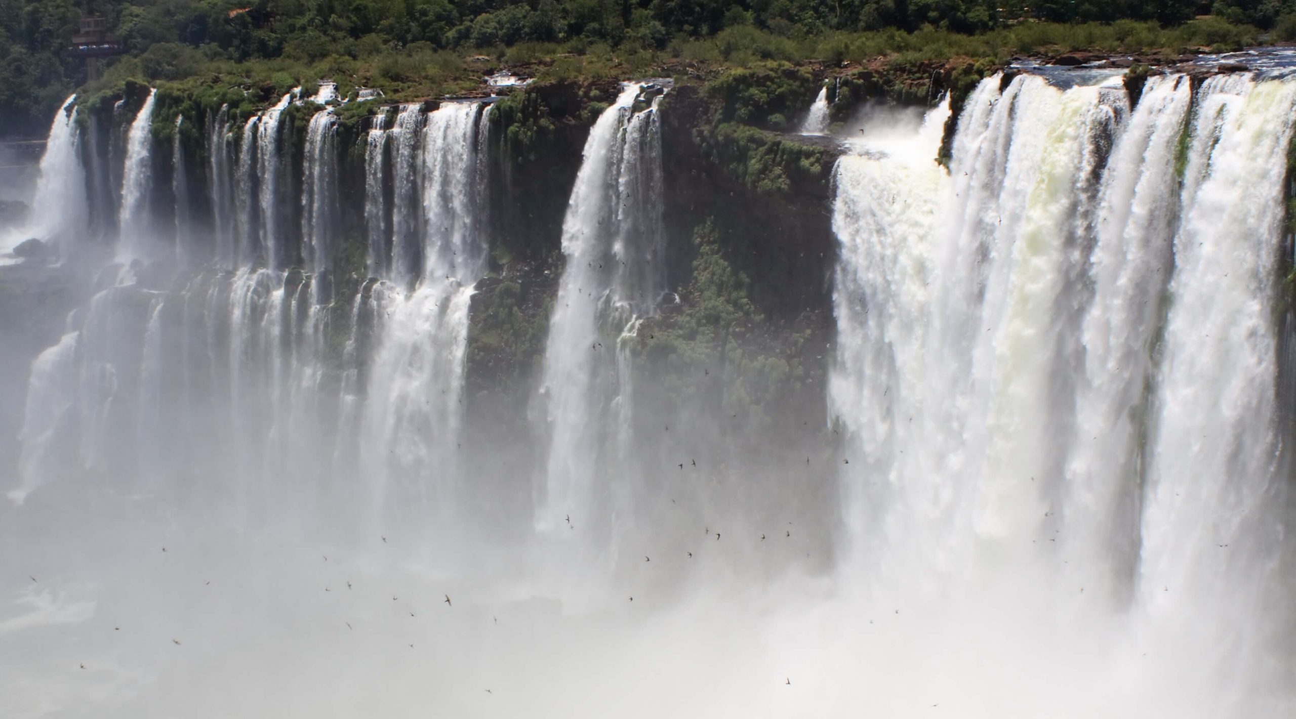 A Lesson In Humility – Toot Your Own Horn