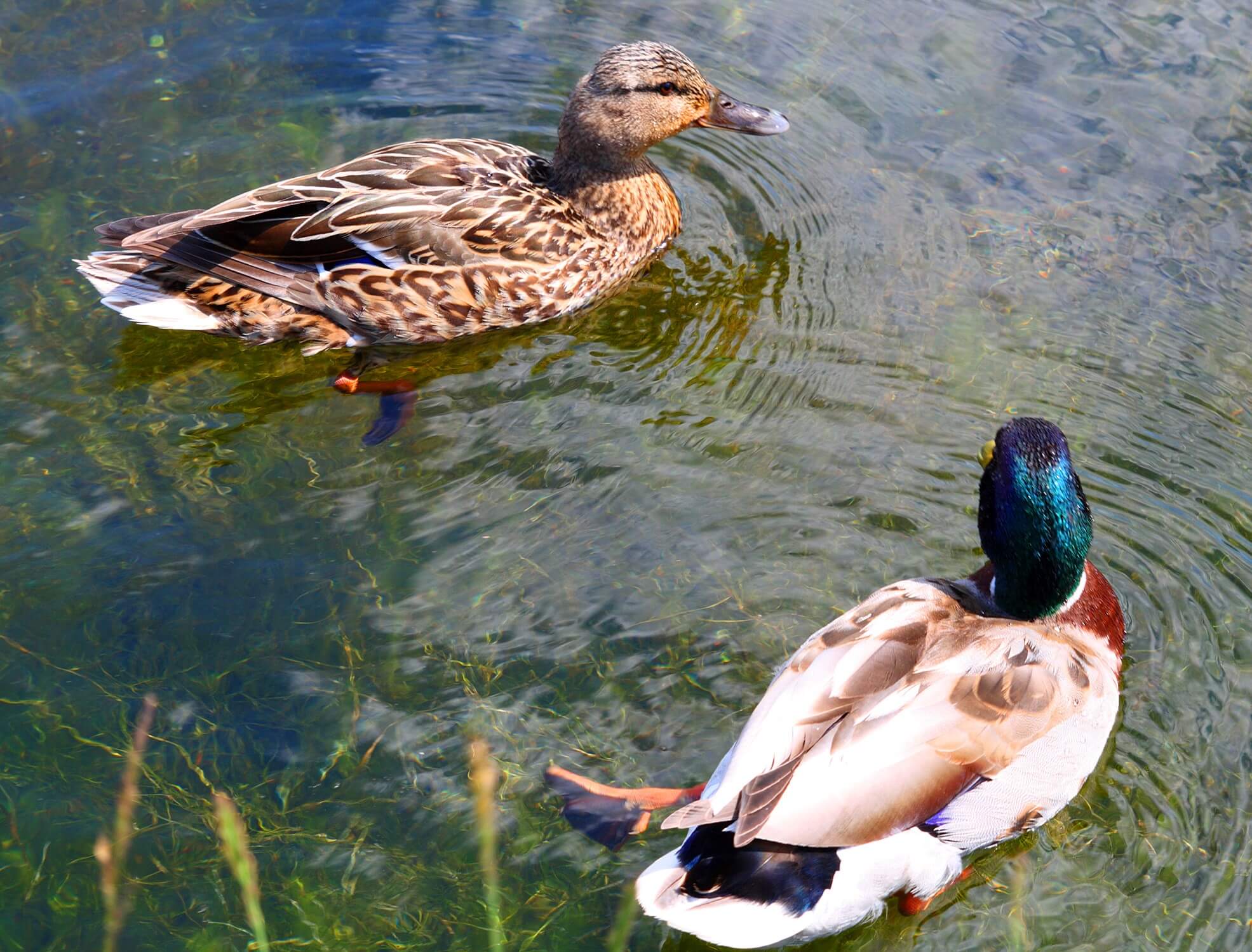 Effective Conflict Management