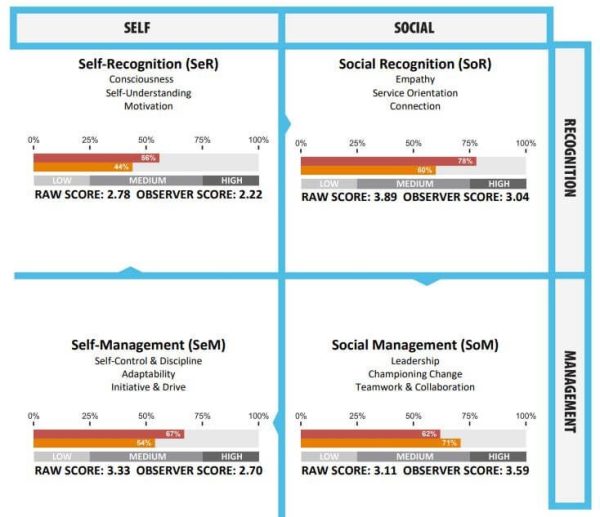 Emotional Intelligence EIQ2-360 Assessment & Coach Analysis