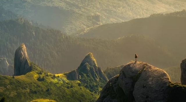 GenAI-hype or reality